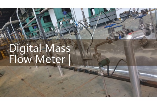 Digital mass flowmeter